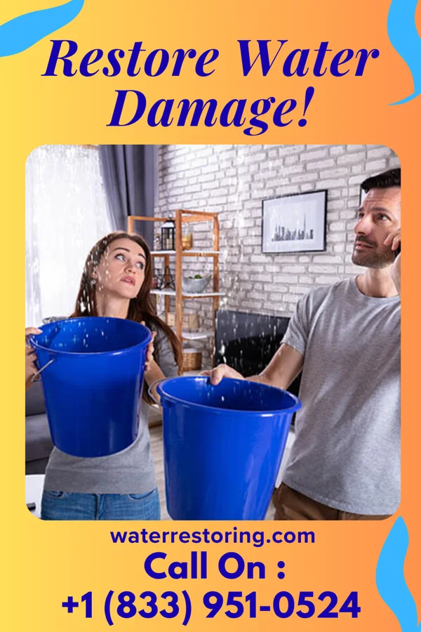 water restoration Trusted Cleanup Network Larchwood